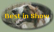 Best in Show