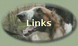 Links